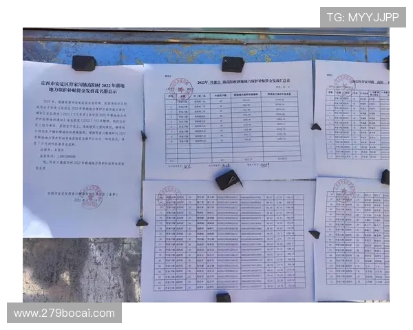 唐人博彩论坛的安全性：如何保护个人信息与资金